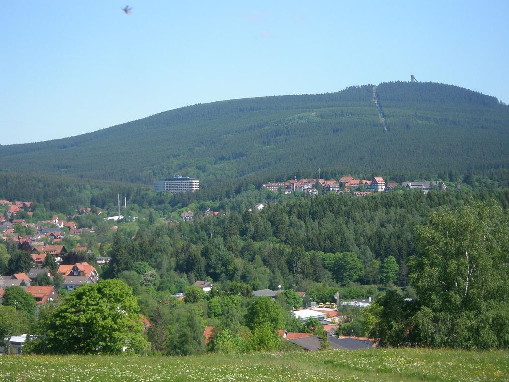 Harzpension Haus Königskopf Braunlage Exterior foto
